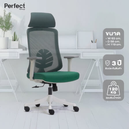 เก้าอี้ทำงานเพื่อสุขภาพ Perfect LEAF SERIES รุ่น POF-A089 สีเขียว_7